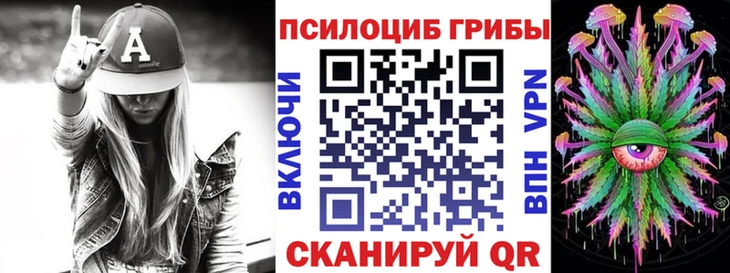 кракен вход  Куйбышев  Псилоцибиновые грибы мицелий 